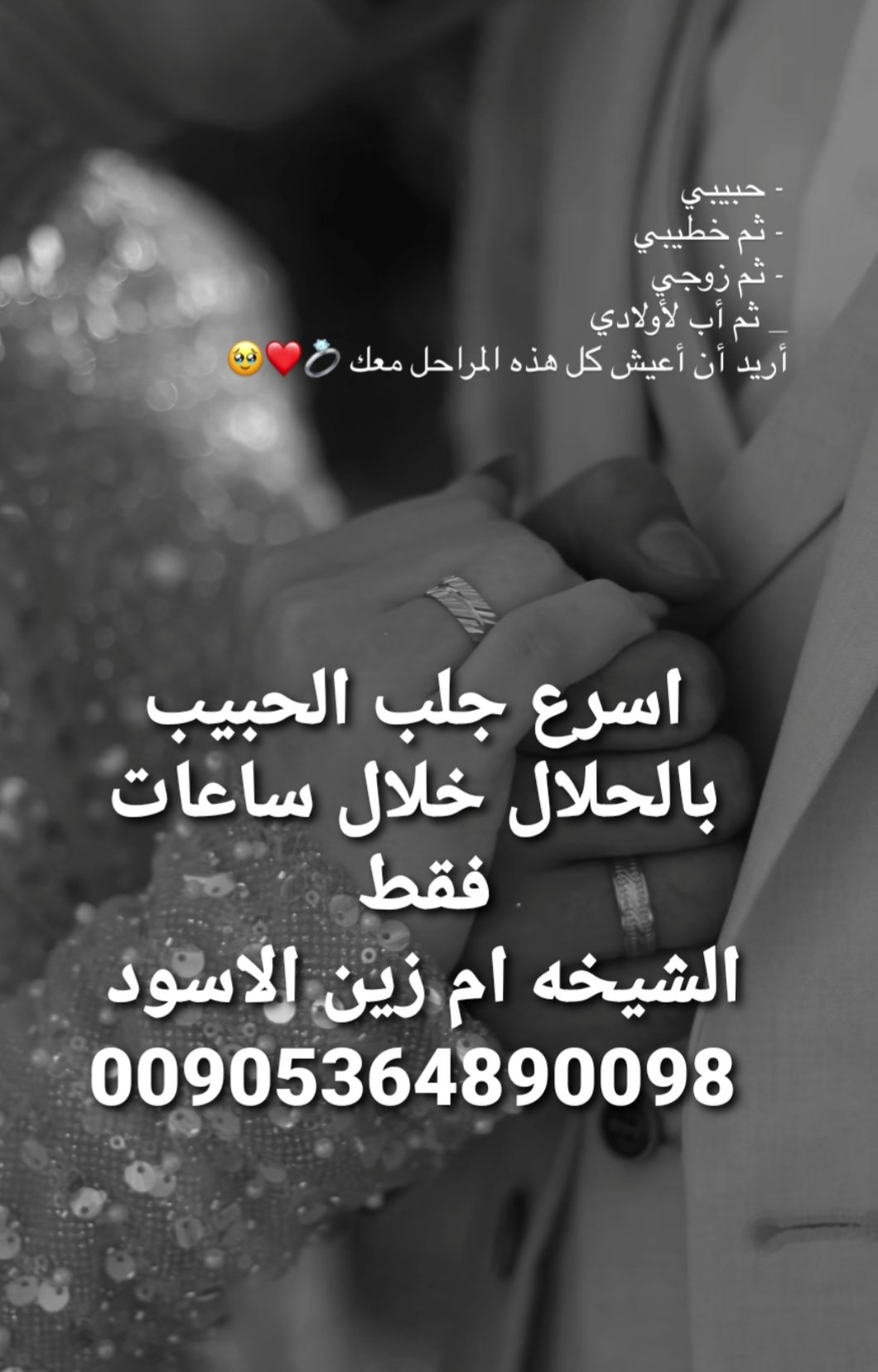 جلب الحبيب العنيد يتصل بسرعة مجرب وفي ضمان